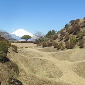 山中城跡