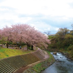 上岩崎公園