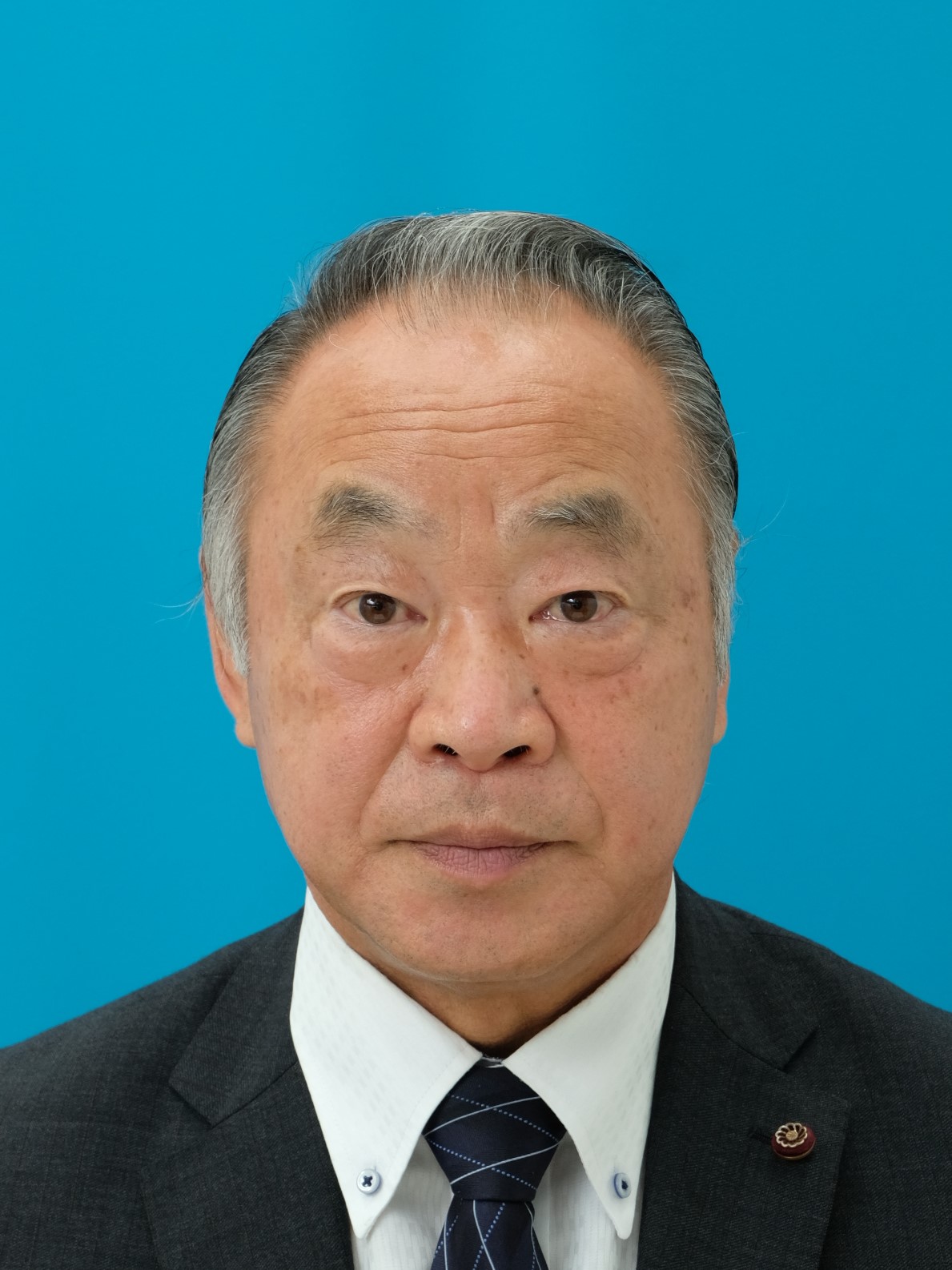 甲斐副議長