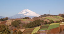 富士山