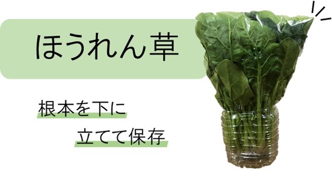 ほうれん草の保存方法