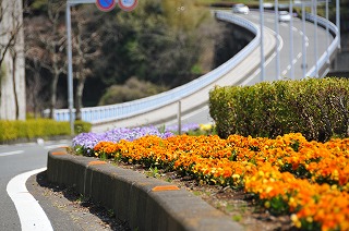 花街道２