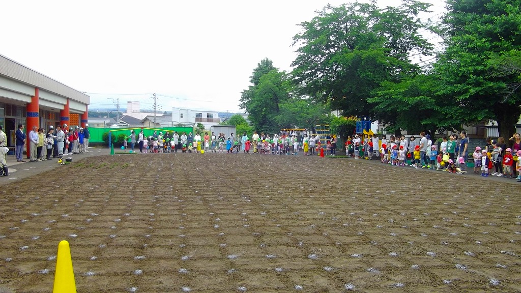 東幼稚園_芝生化前