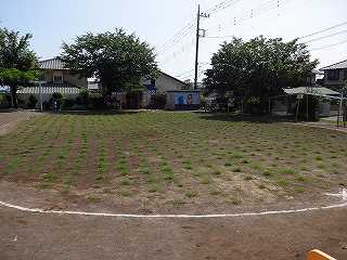 園庭芝生化旭ヶ丘幼稚園１ヶ月①