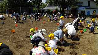 園庭芝生化旭ヶ丘幼稚園当日⑤