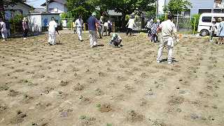 園庭芝生化旭ヶ丘幼稚園当日⑥