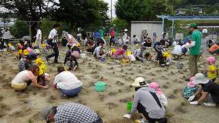 園庭芝生化沢地幼稚園当日⑦