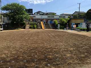 園庭芝生化旭ヶ丘幼稚園当日①