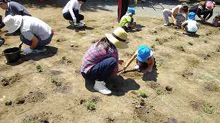 園庭芝生化旭ヶ丘幼稚園当日⑦