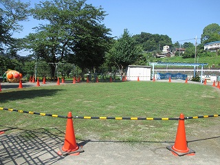 園庭芝生化沢地幼稚園1ヶ月①