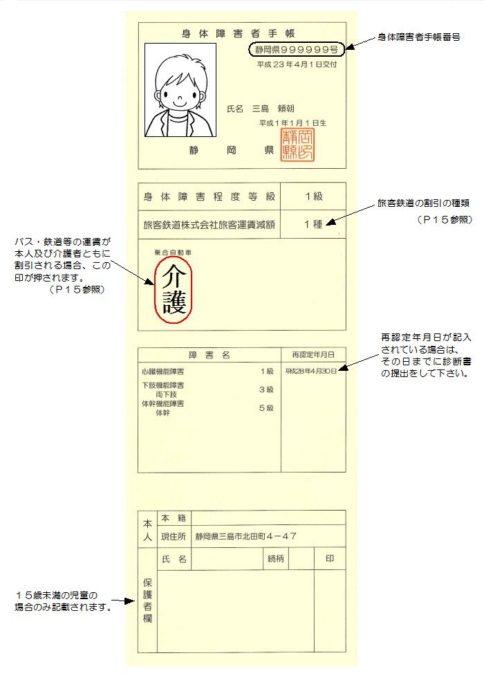 身体障害者手帳（例）