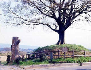 箱根旧街道石畳