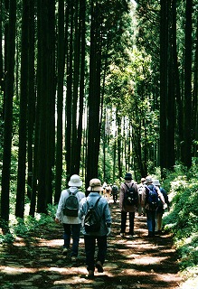 山中城と旧街道石畳