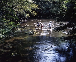 楽寿園と湧水(最盛期の湧水　8月頃) 