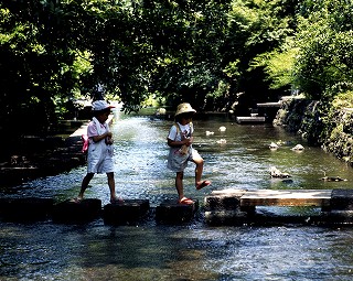 源兵衛川を渡る子供