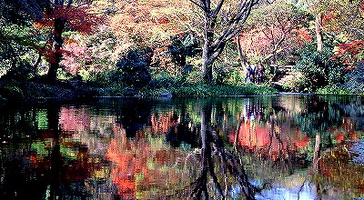 楽寿園　池と紅葉