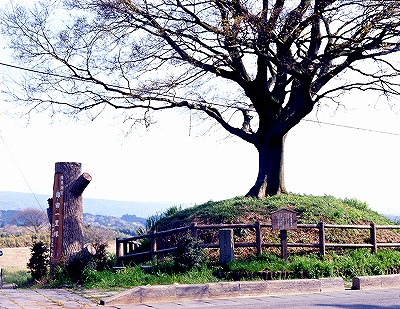 箱根旧街道　錦田一里塚