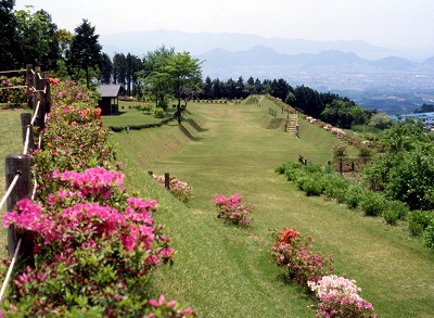 先出丸と田方平野