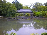 平成23年（満水年）小浜池水位6月17日