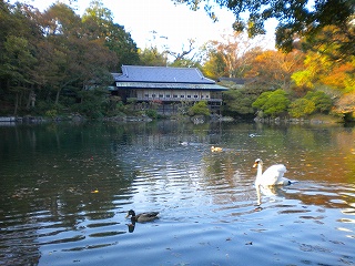 平成23年（満水年）小浜池水位11月4日