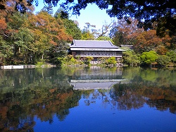 平成23年（満水年）小浜池水位10月1日