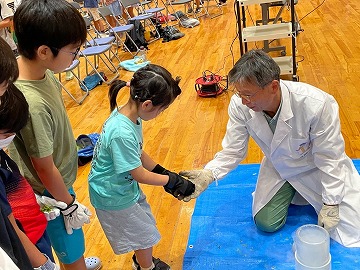 液体窒素で凍らせる実験の様子