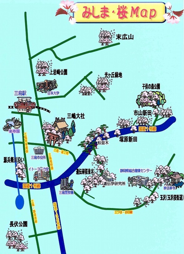 三島市内桜名所地図