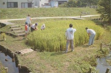 湧水と緑あふれる境川・清住緑地