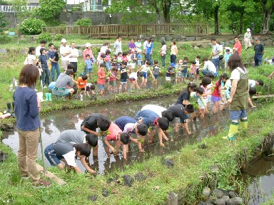 境川・清住（朝比奈）緑地愛護会