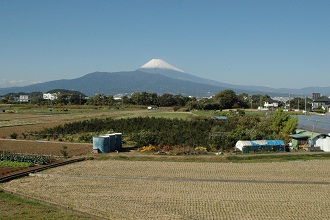 新城橋