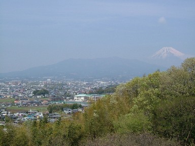 向山古墳群