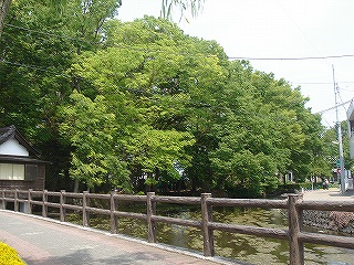 白滝公園