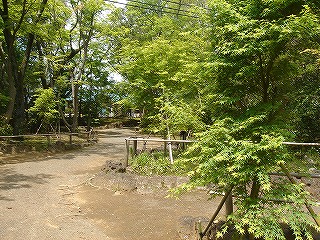 楽寿園（小浜の森）