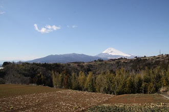 坂公民館