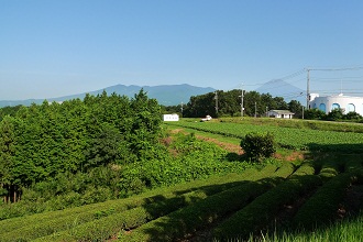 末広山からの富士山