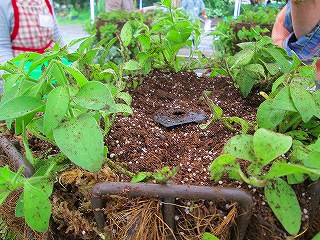 花サポ２期生講習会