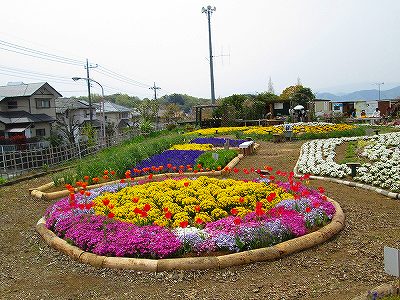 H26花コン_東大場町内会花の会