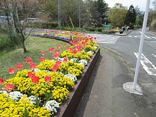 花壇づくり協働事業