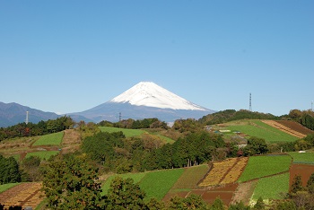 富士山と三島の圃場の画像