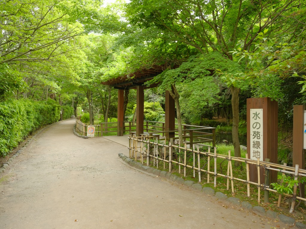 水の苑緑地