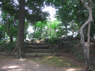 楽寿園の自然_天神の森2