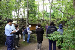 植物観察会