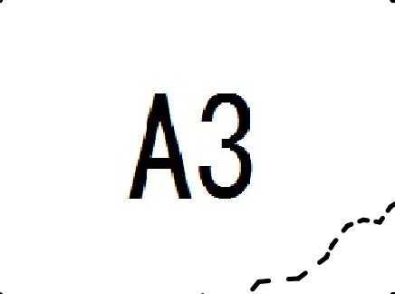 A3