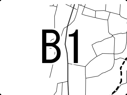 B1