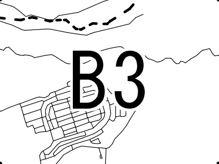 B3