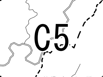 C5