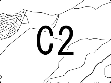 C2