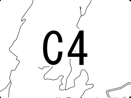 C4