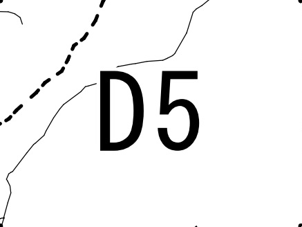 D5