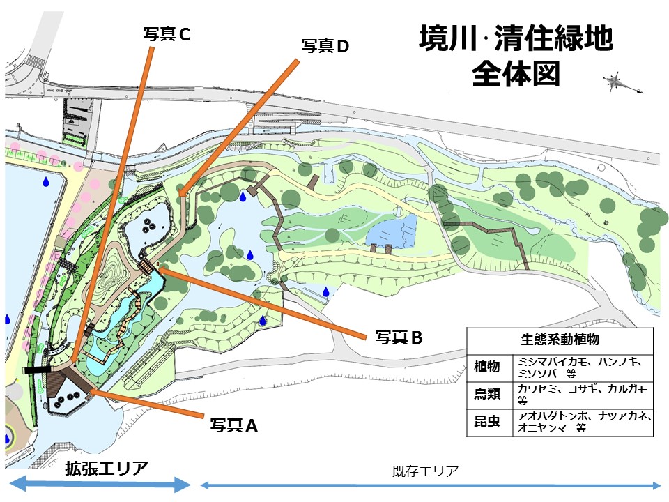 R02.06.25 清住全体図